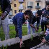 �L'idea � che curare le piantine con impegno e costanza, vederle germogliare e coglierne i frutti, possa insegnare a crescere e a prendersi cura di s� stessi�